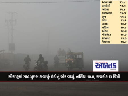 Dense Fog Covered Saurashtra: Cold Force Increased, Nalia 10.8, Rajkot 13 Degrees