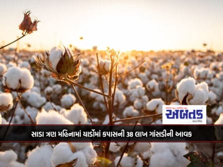Income Of 38 Lakh Bales Of Cotton In Yards In Three And A Half Months