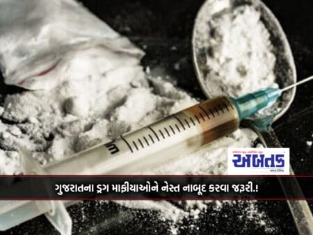 It Is Necessary To Eliminate The Nest Of Drug Amnesties Of Gujarat.