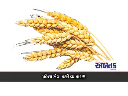 The Government Then The Company Will Do The Purchase Of Wheat To Satisfy The Hunger Of 80 Crore Countrymen
