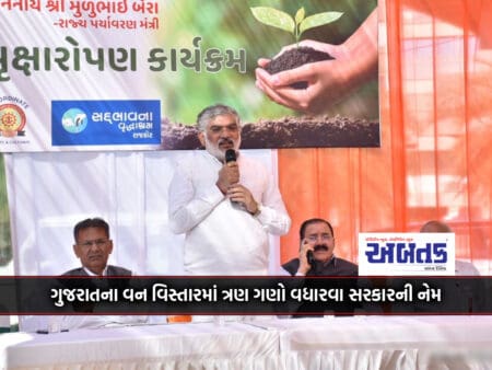 Name Of The Government To Triple The Forest Area Of Gujarat: Minister Muloobhai Bera