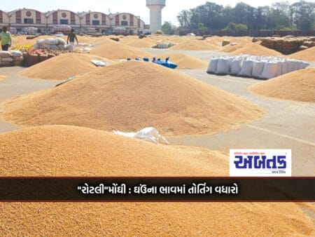 Increase The Price Of 100 Kg Wheat By 500 To 700 Rupees