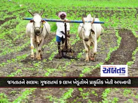 Salute To The World: 9 Lakh Farmers Adopted Organic Farming In Gujarat