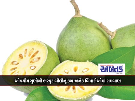 Beeli Fruit Full Of Medicinal Properties Is A Panacea For Many Ailments