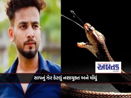 How Intoxicating And Expensive Is Elvish Yadav Arrested For Snake Poisoning???