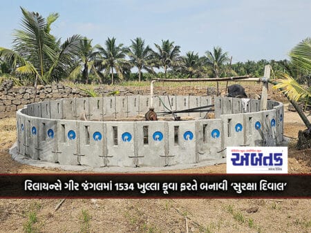 Reliance Builds 'Security Wall' Around 1534 Open Wells In Gir Forest