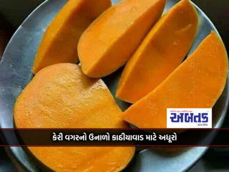 In Ancient Times, More Than 100 Varieties Of Mangoes Were Produced In Junagadh District Alone!