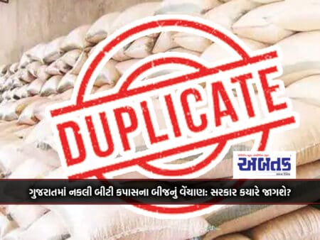 Sale Of Fake Bt Cotton Seeds In Gujarat: When Will The Government Wake Up?