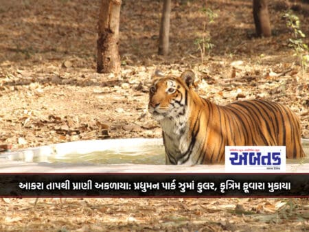 Extreme Heat Kills Animals: Coolers, Artificial Fountains Installed In Pradyuman Park Zoo