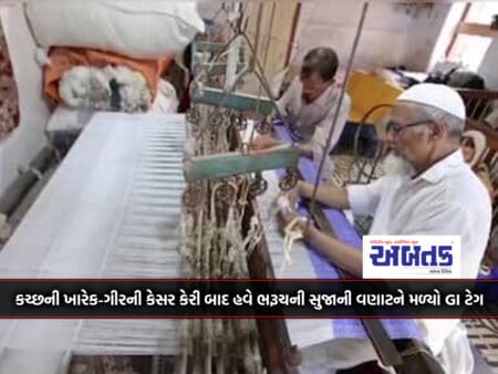 After Saffron Mango From Kutch's Kharek-Gir, Now Sujani Weaving From Bharuch Gets Gi Tag