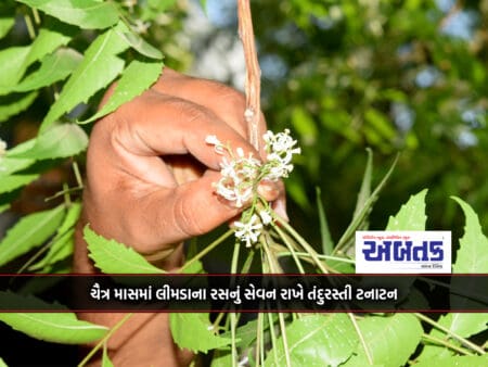 In The Month Of Chaitra, Consumption Of Neem Juice Is Good For Health