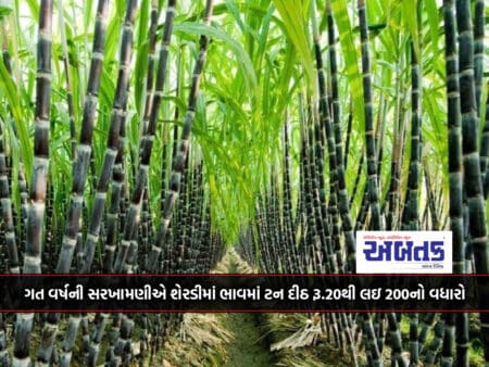 Sugarcane Prices Increased By Rs.20 To 200 Per Ton Compared To Last Year