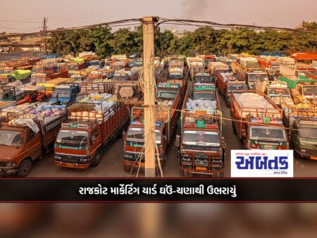 Rajkot Marketing Yard Bursts With Wheat And Gram: More Than 1200 Vehicles Ply