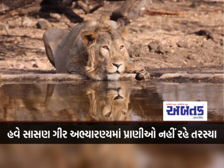 Now The Animals In Sasan Gir Sanctuary Will Not Be Thirsty