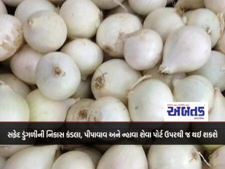 White Onion Can Be Exported From Kandla, Pipavav And Nhawa Sheva Ports Only