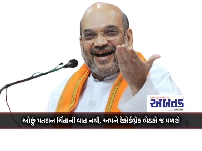 Low Polling Is Not A Concern, We Will Get Record Breaking Seats: Amit Shah Claims